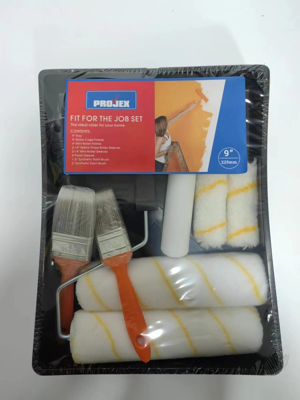 Projex Paket Bak Cat + 4 Set Kuas